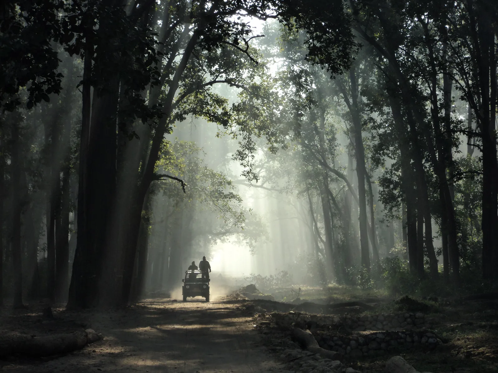 JIM CORBETT landscape