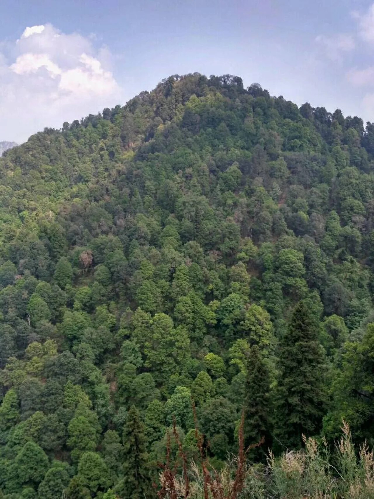 Hills around Nainital